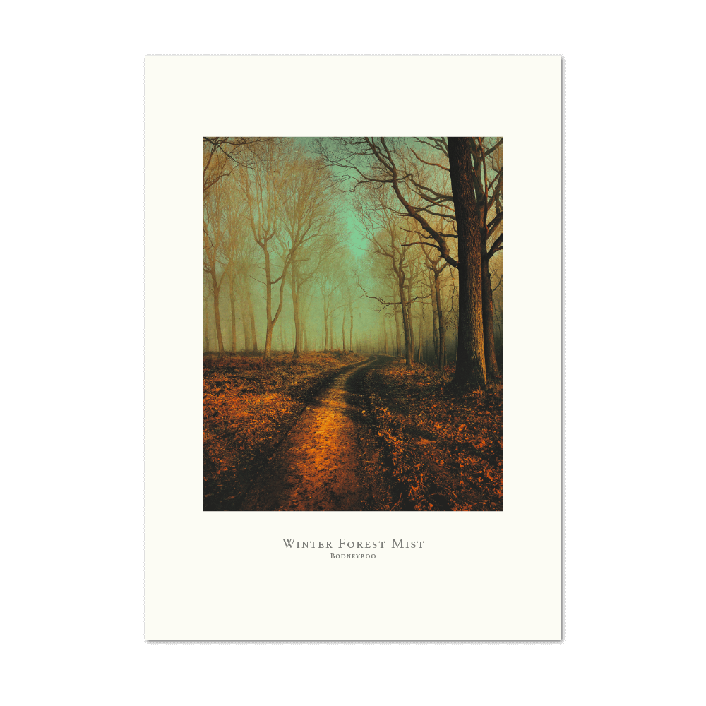 Show details for Winter Forest Mist | Large Print