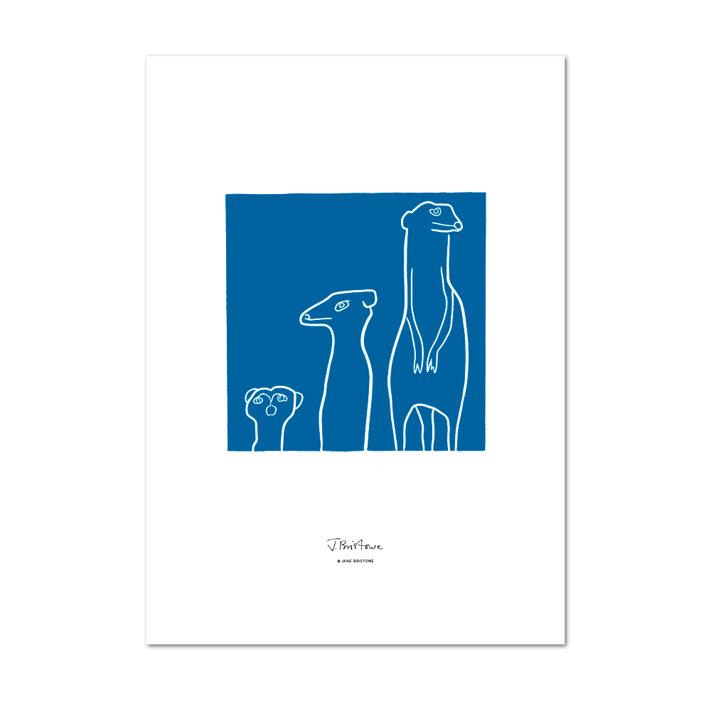 Show details for Meerkat Blue | Large Print