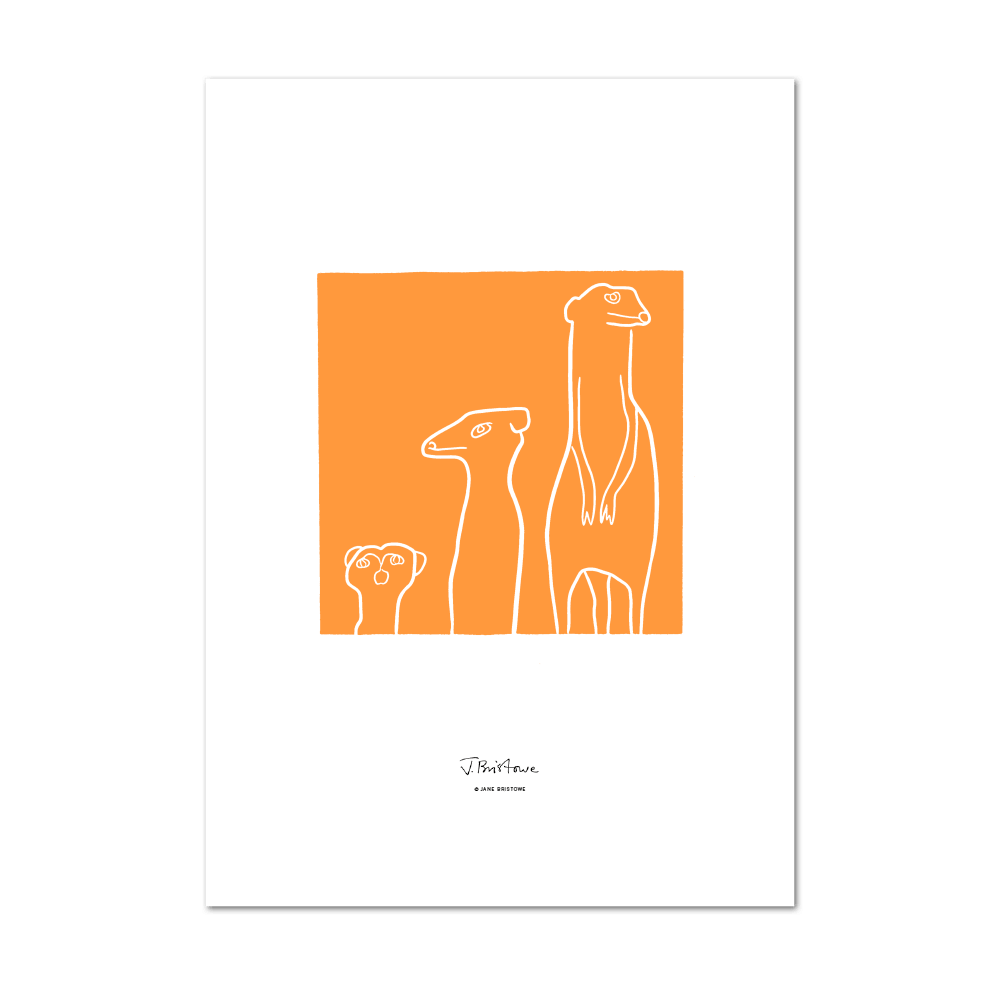 Show details for Meerkat Orange | Large Print