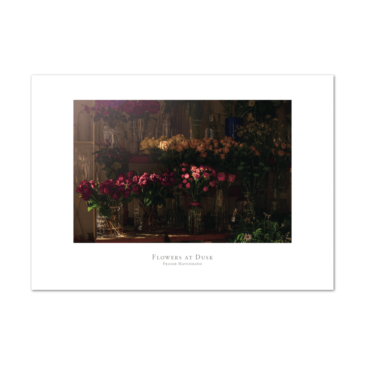 Flowers At Dusk