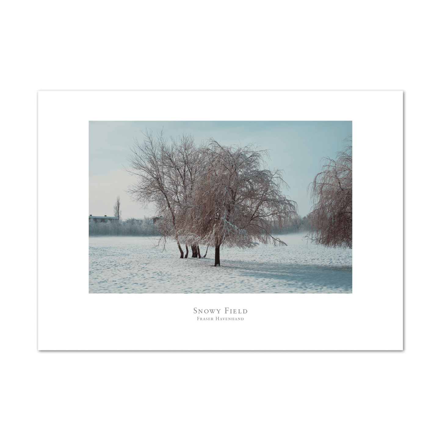 Snowy Field