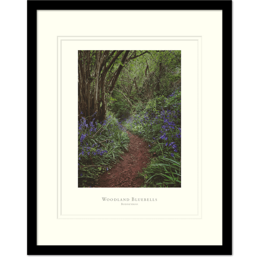 Woodland Bluebells