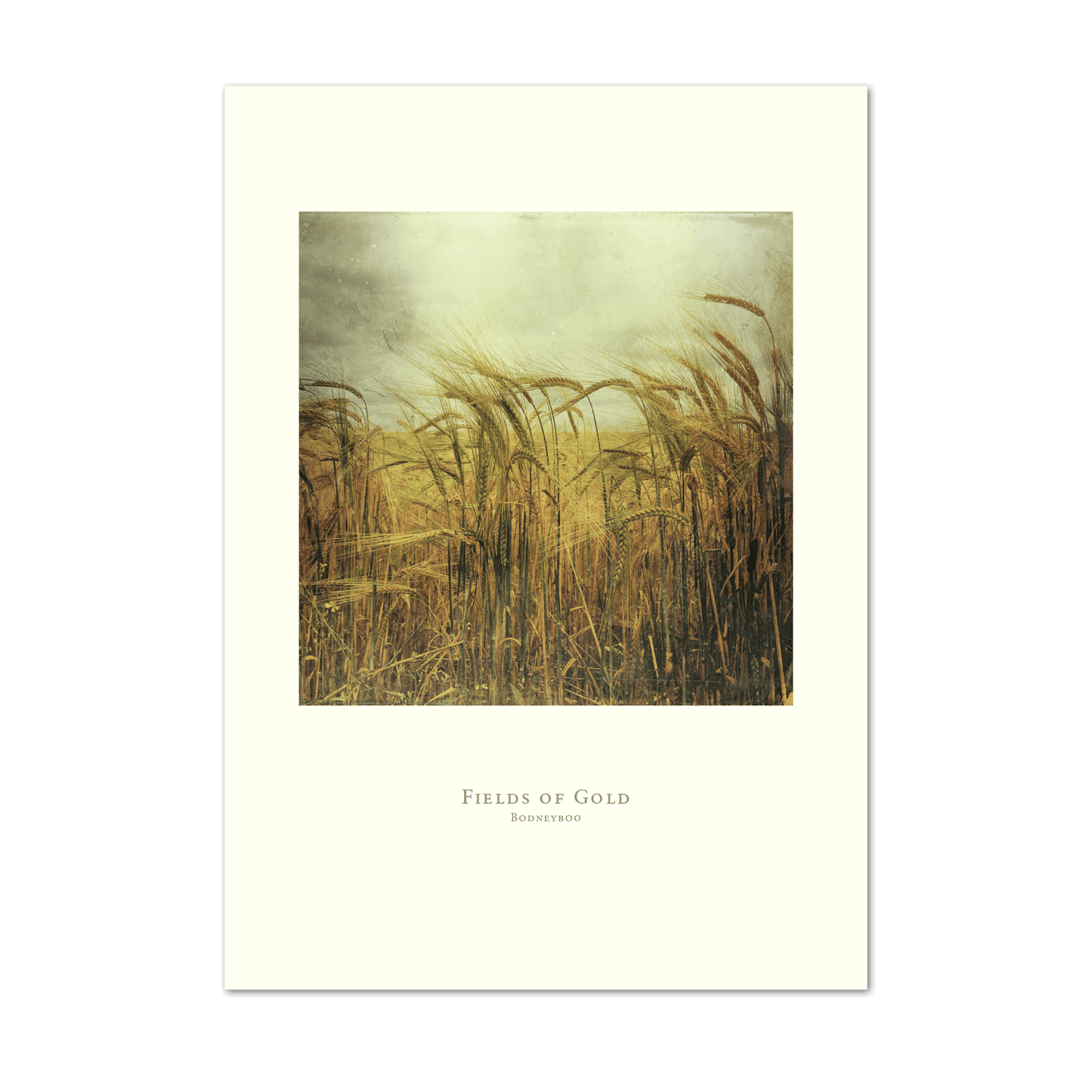 Fields of Gold