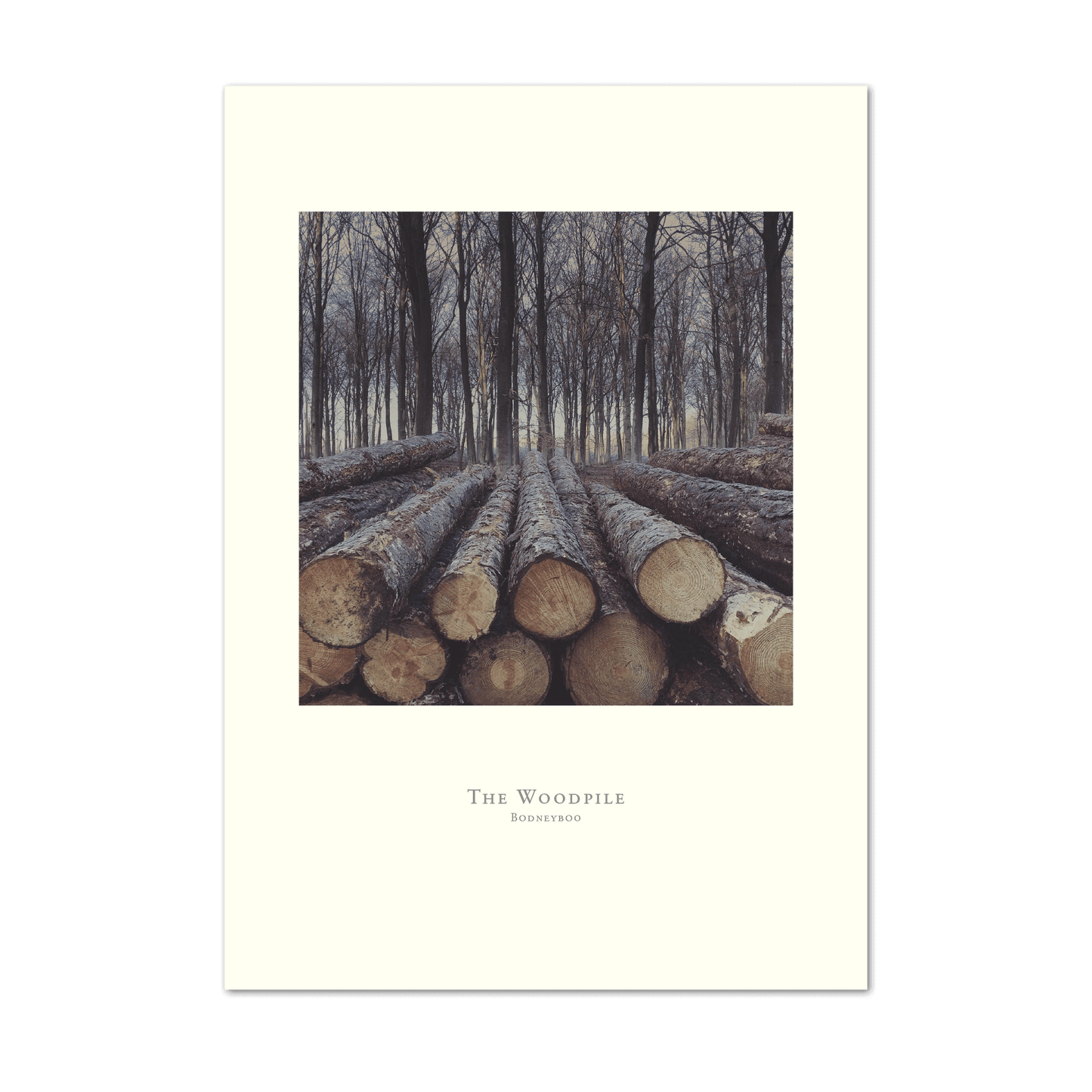 The Woodpile