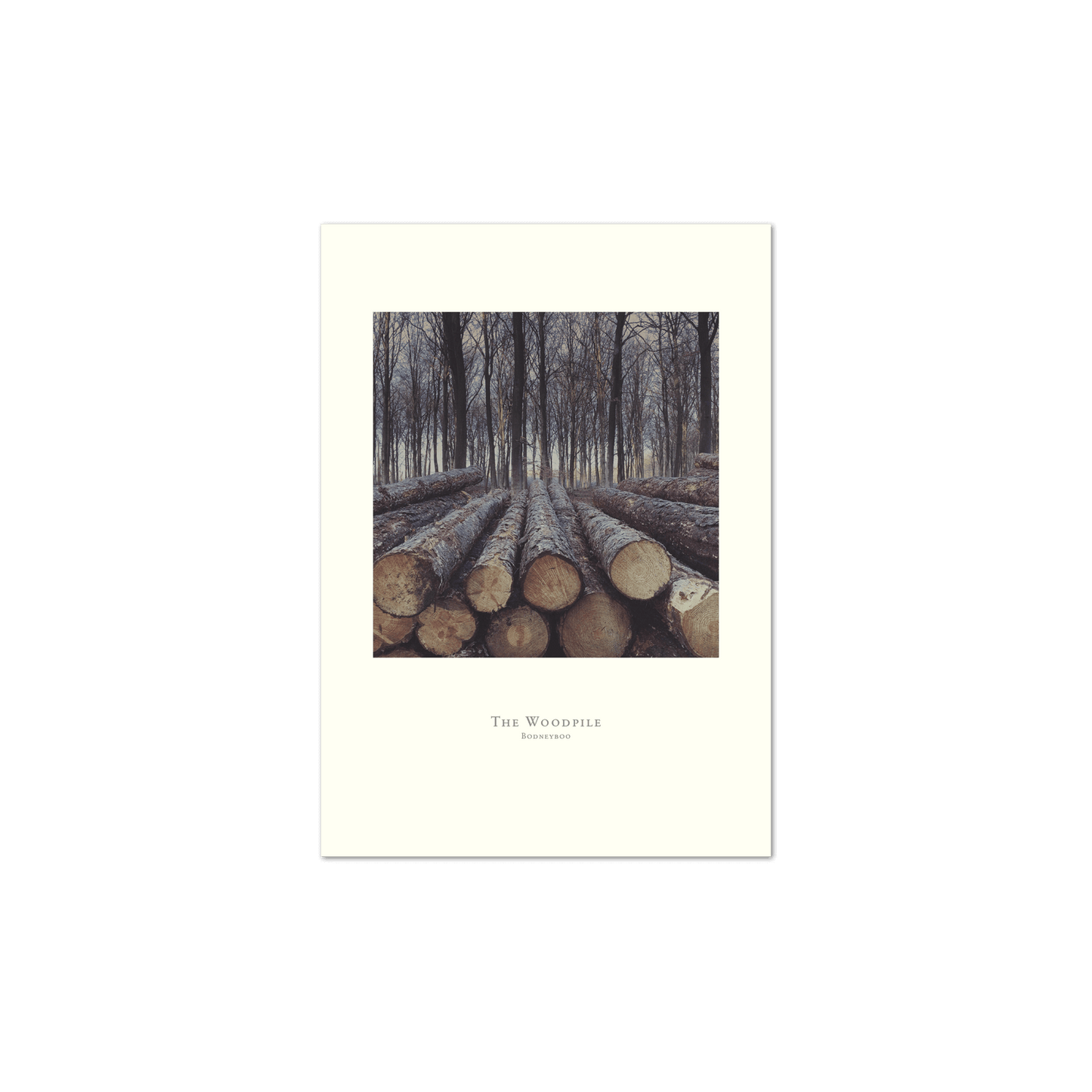 The Woodpile